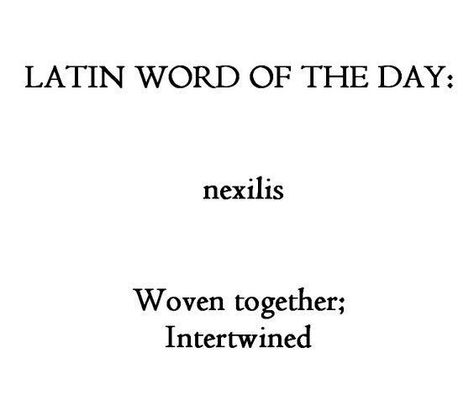 Latin Quotes, Latin Phrases, Latin Word, Uncommon Words, History Education, Unusual Words, Rare Words, Word Definitions, Latin Words