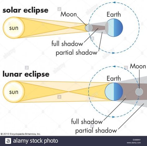 Lunar Eclipse Vs Solar Eclipse Diagram Lunar Eclipse Diagram, Solar System Science Project, Solar Eclipse Images, Solar Eclipse Facts, Solar Eclipse Activity, Sixth Grade Science, Solar And Lunar Eclipse, Science Vocabulary, Science Notebook