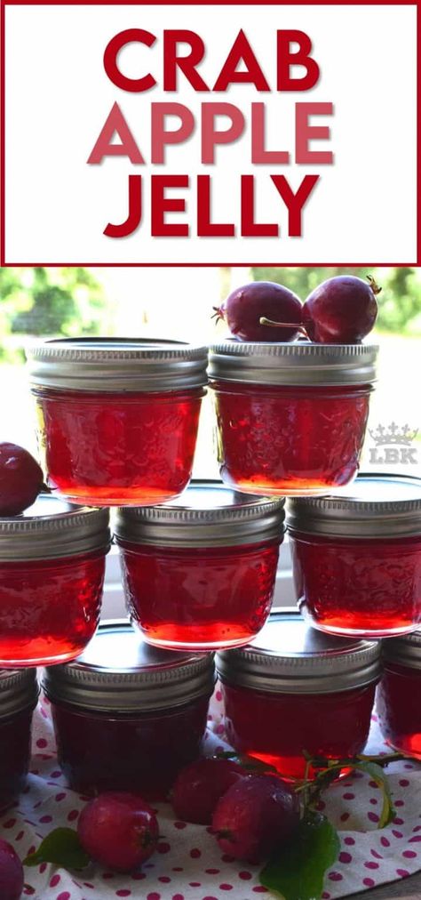 Crabapple Jelly Recipe, Crabapple Jelly, Crab Apple Recipes, Crab Apple Jelly, Rhubarb Jelly, Apple Rhubarb, Crab Apples, Apple Jelly, Jam Recipes Homemade