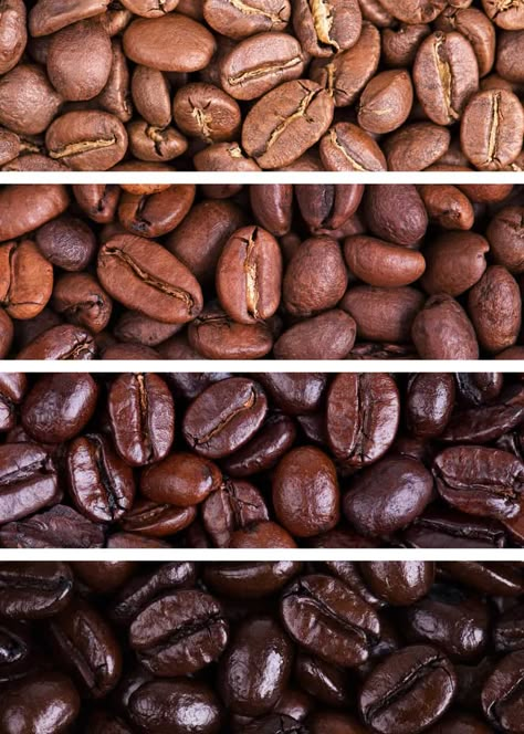 79 Types of Coffee (Definitive Guide) Drinks, Beans, Names, Roasts | EnjoyJava!  #coffee #typesofcoffee #coffeetime #coffeelovers #coffeebeans Different Type Of Coffee, All Types Of Coffee, How To Roast Coffee Beans At Home, Different Types Of Coffee Beans, Arabica Vs Robusta Coffee Beans, Coffee Names, Raw Coffee Beans, Types Of Coffee Beans, Types Of Coffee