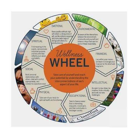 Life Coach (@dr_angel_storm) • Instagram photos and videos Self Care Wheel, Wellness Wheel, Wellness Plan, Workplace Wellness, Personal Wellness, Free Workbook, Self Exploration, Creating A Vision Board, Wheel Of Life