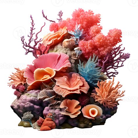 coral reef isolated on transparent background ,sea coral reef cut out ,generative ai Coral Reef Craft, Coral Drawing, Coral Reef Art, Background Sea, Coral Sculpture, Coral Background, Coral Art, Beautiful Sea Creatures, Sea Coral