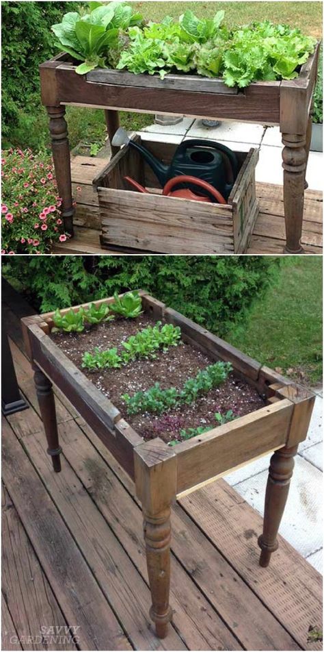 Old Coffee Table Planter Lettuce Table, Plants Growing, Have Inspiration, Veggie Garden, Raised Garden, Raised Garden Beds, Dream Garden, Urban Garden, Herb Garden