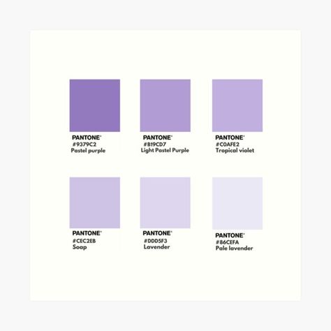 Pantone Purple Pastel, Lilac Hex Code, Light Purple Colour Palette, Soft Purple Palette, Purple Website Design Colour Palettes, Lilac Pallet Colour Palettes, Purple Pantone Palette, Light Purple Palette, Muted Purple Color Palette