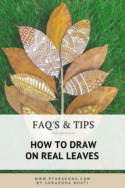 How To Paint On Leaves, Drawing On Leaves, Dried Leaves Crafts, Real Leaf Art, Leaf Art Diy, Dry Leaf Art, Leaf Projects, Framed Leaves, Pencil Drawings Easy