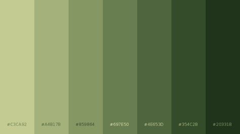 Green Swatches Colour Palettes, Green Color Swatches Colour Palettes, Green Pallete Aesthetic, Shade Of Green Palette, Dark Green Hex Code, Soft Green Palette, Green Pallet Color Colour Palettes, Different Green Colors Shades, Green Aesthetic Palette