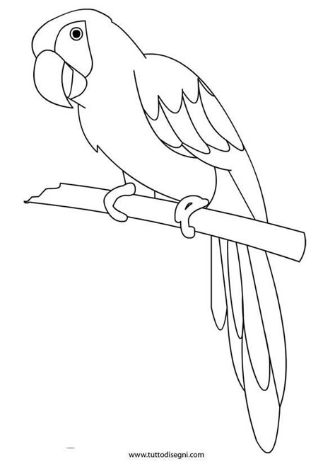 Parrot Drawing, Art Coloring Book, Line Art Coloring, Farm Animal Coloring Pages, Parrots Art, Pencil Sketch Drawing, Mickey Mouse Art, Iphone Wallpaper Hd Nature, Outline Drawings