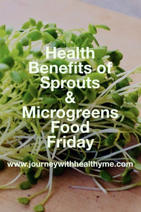 Sprouts Benefits, Microgreen Recipes, Microgreen Growing, Microgreens Garden, Microgreens Recipe, Grow Microgreens, Garden Notes, Growing Sprouts, Healthy Bodies