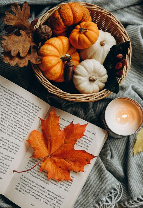 Autumn Flatlay, Pumpkin Gingerbread, Autumn Magic, Autumn Nature, Happy Fall Y'all, Fall Pictures, Autumn Cozy, Autumn Aesthetic, Fall Wallpaper