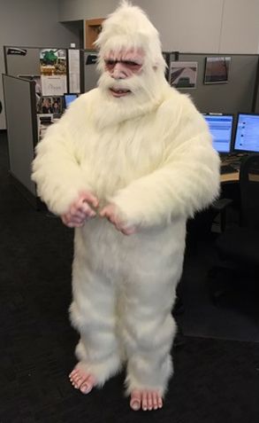 Yeti Mask, Sasquatch Costume, Yeti Costume, Easy Adult Halloween Costumes, Gorilla Costume, White Gorilla, Diy Adult Halloween Costumes, Gorilla Costumes, Gorilla Suit