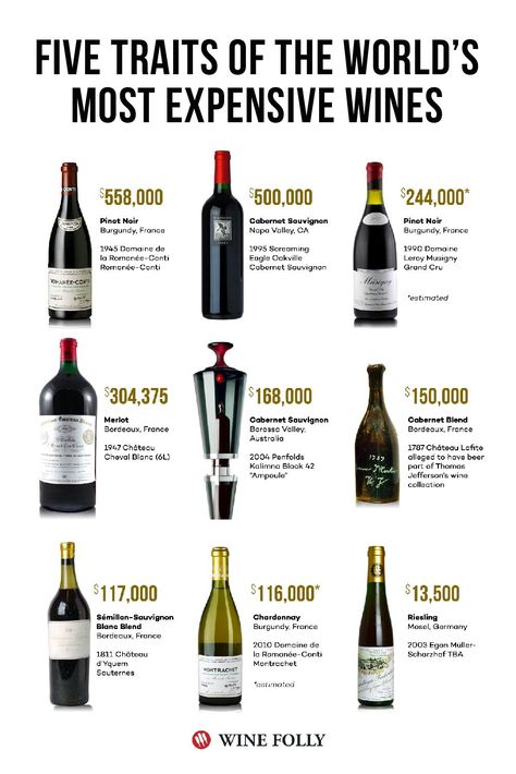 What do the most expensive wines have in common? It turns out, they’re more similar than you might think. Most Expensive Wine, Expensive Red Wine, Expensive Drinks, Champaign Bottle, Most Expensive Food, Expensive Food, Wine Chart, Wine Course, Wine Facts