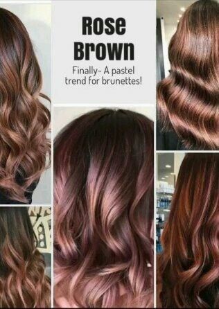 Rose Brown Hair, Brown Hair Cuts, Brown Hair Trends, Brown Ombre Hair, Hair Color Unique, Hair Ombre, Super Hair, Hair Solutions, Brown Hair With Highlights