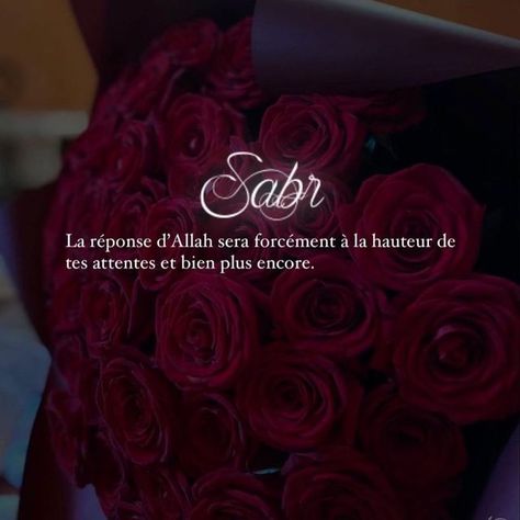 Reminder Islam, Crypto Coin, Rose Rouge, Islamic Quotes, On Instagram