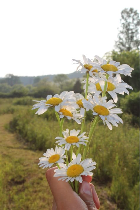 wild flowers aesthetic granola girl hippie aesthetic flowers summer aesthetic boho Boho Playlist Covers, Boho Lifestyle Aesthetic, Pacifica Southeast, Wild Girl Aesthetic, Hippie Core Aesthetic, Boho Aesthetic Photos, Boho Girl Aesthetic, Hippie Life Aesthetic, Soft Hippie Aesthetic