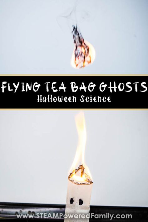 Tea Bag Experiment, Tea Bag Ghost Experiment, Flying Tea Bag Ghosts, Fire Experiments For Kids, Fire Experiment, Halloween Flying Ghost, Halloween Experiments, Fire Science, Ghost Tutorial