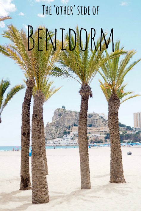 Benidorm on the Spanish coast isn't just for drunken Brits abroad. This article explains how to experience authentic Spanish culture in Benidorm with adventure activities, local food and more. Alternative Spain | Palm trees | Costa Blanca | Spain holiday | Spanish places | Beaches | Paradise | Things to do in Spain Benidorm Beach, Things To Do In Spain, Spanish Coast, Spain Holiday, Beach Destinations, Spain Travel Guide, Travel Spain, Spanish Culture, Spain Holidays