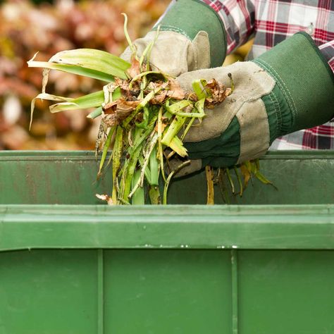 New Today -  6 Ways to Dispose of Yard Waste metrogaragedoor.com Compost Container, Clean Up Day, Compost Bin Diy, Diy Compost, Vegetable Scraps, Wood Mulch, Yard Waste, Tree Removal, Invasive Plants