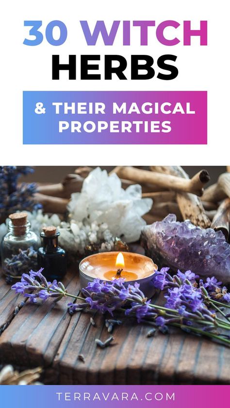 Witch herbs and their magical properties. Herbs Magical Uses, Sachets, Lucky Herbs Witchcraft, Herb Magical Properties List, Spiritual Herbs Witches, Witchy Herbs And Spices, Witch Craft Herbs, Flowers Magical Properties, Raspberry Leaf Magical Properties