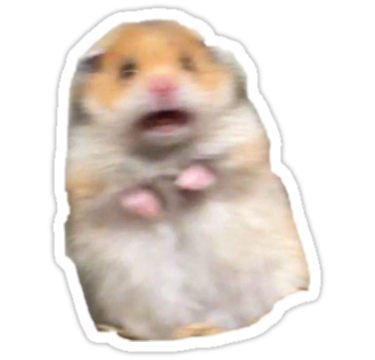 Screaming Hamster, Hamster Sticker, Hamster Meme, Stickers Cool, Funny Hamsters, Homemade Stickers, Snapchat Stickers, Red Bubble Stickers, Bubble Stickers