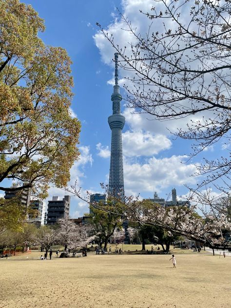 Tokyo Skytree. https://www.alojapan.com/754383/tokyo-skytree-13/ #JapanPhotos Tokyo Skytree, Tokyo, Japan, Quick Saves