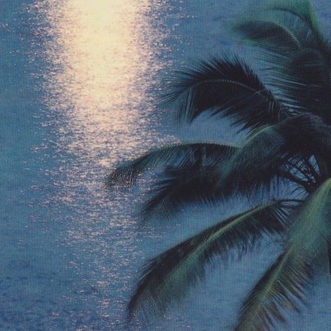 Jolie Photo, Summer Feeling, Summer Dream, Kingdom Hearts, Beach Vibe, Amalfi Coast, Cairo, Summer Aesthetic, Palm Tree