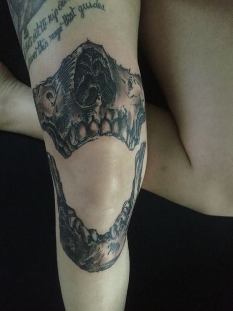 Human Bone Tattoo, Jaw Bone Tattoo Knee, Open Jaw Tattoo, Human Jaw Tattoo, Skull Jaw Tattoo, Jaw Knee Tattoo, Jaw Tattoo, Human Mouth, Bone Tattoos