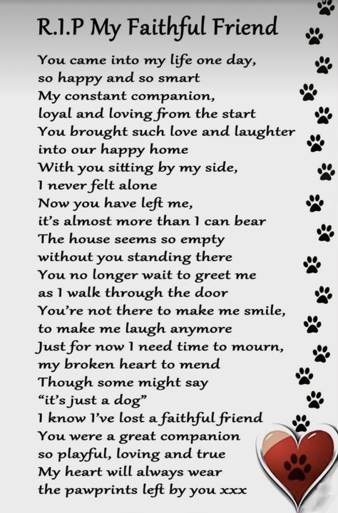 Pet Poems, Cat Poems, Dog Poems, Cat Loss, Pet Remembrance, Pet Sympathy, Cat Memorial, Cat Quotes, Losing A Pet