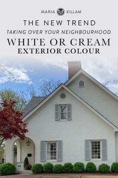 Paint 2024, Brick Ranch Houses, Painted Brick Exteriors, Brick Homes, White Exterior Houses, Ranch House Exterior, Painted Brick House, Colour Trend, Exterior House Paint Color Combinations