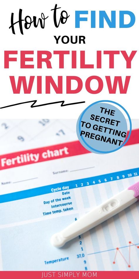 Best Time To Get Pregnant, Tracking Ovulation, Fertility Window, Conception Tips, Fertility Day, Fertility Chart, Fertile Window, Fertility Tracking, Ovulation Tracking