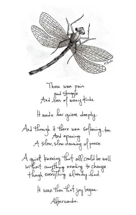 Dragonfly Meaning Spiritual, Dragonfly Tattoo Meaning, Dragonfly Meaning, Dragonfly Symbolism, Dragonfly Quotes, Mother Teresa Quotes, Quotes For You, Poetic Words, Dragonfly Dreams