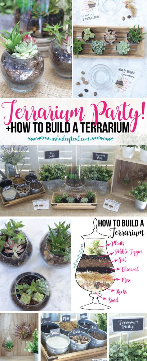 Air Plant Terrarium Diy How To Make, Layers Of A Terrarium, Succulent Making Party, Succulents Garden Indoor Terrarium Ideas, Plant Night Party, Dollar Store Terrarium Diy, Diy Terrarium Party, Closed Terrarium Animals, Build A Terrarium Diy