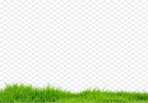 Grass Transparent Background, Grass Png For Editing, Grass Png Hd, Natural Background For Editing, Green Grass Png, Thumbnail Backgrounds, Grass With Flowers, Milk Ideas, Grass Png