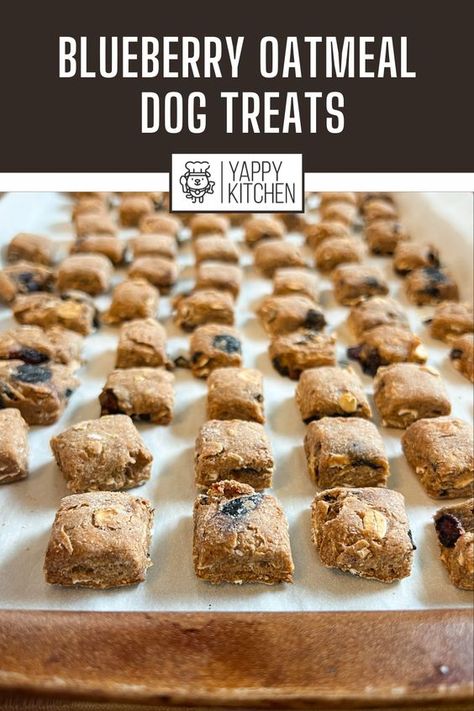 Dog Treats No Flour Grain Free, Blueberry Oatmeal Dog Treats, Rosemary Dog Treats, Non Perishable Dog Treats, Blueberry Dog Biscuits, Homemade Dog Treats With Blueberries, Blueberry Dog Treats Recipes, Soft Dog Treats For Older Dogs, Blueberry Dog Treats Homemade Easy