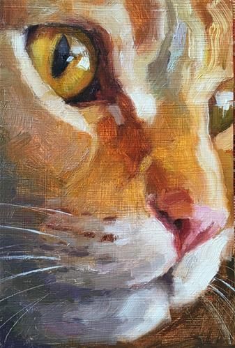 Katya Minkina, Cat Artwork, Cycling Art, Watercolor Cat, Arte Animal, Daily Paintworks, Painting Art Projects, Cat Painting, Fine Art Gallery