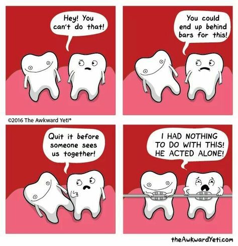 What's up, braces? Braces Humor, Teeth Humor, Awkward Yeti, The Awkward Yeti, Dental Jokes, Funny Comic Strips, Dental Humor, Memes Humor, Komik Internet Fenomenleri