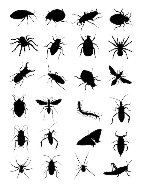 Premium Vector | Bugs silhouette Bugs Silhouette, Insect Silhouette, Bug Silhouette, Bug Vector, Creepy Bugs, Bugs Clipart, Bug Clipart, Logo Psd, Vector Background Pattern