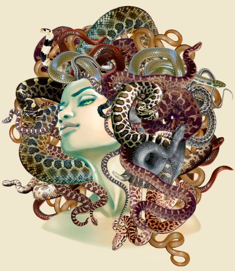 This would be cool for a realism tattoo Medusa Art, Medusa Tattoo, Mythological Creatures, Gods And Goddesses, Snakes, Black Art, Mythical Creatures, Dark Art, Fairy Tale