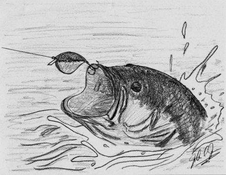 The Bass" Drawing art prints and posters by John Jones - ARTFLAKES.COM Bass Fish Drawing Pencil, Fishing Sketch Drawing, Watercolor Bass Fish, Bass Fish Painting Acrylic Easy, Bass Drawing Fish, Fishing Sketches, Bass Fish Painting, Fishing Art Drawing, Bass Fish Drawing