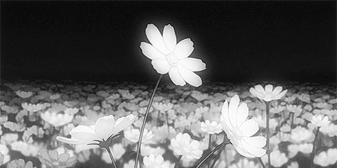 천사와 악마, Anime Flower, Gif Background, Animated Banners, Arte 8 Bits, Flowers Gif, Dark Flowers, Anime Gifs, Banner Gif