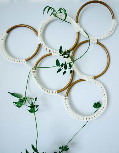 Growing jasmine indoors + macrame style trellis diy - Friendly NettleFriendly Nettle Growing Jasmine, Ivy Plant Indoor, Climbing Plants Trellis, Trellis Diy, Diy Planters Indoor, Indoor Plant Trellis, Indoor Trellis, Plant Trellis, Diy Trellis