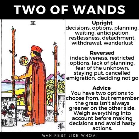 The Two of Wands Tarot Card Guide For Beginners Two Of Wands Tarot Meaning, Two Of Wands Tarot, Two Of Cups Tarot Card, Two Of Cups Tarot, 2 Of Wands, Astrology Explained, Tarot Wands, Love Tarot Spread, Digital Grimoire