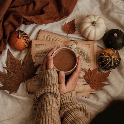 What are your reading goals for October? 💭 ⠀⠀⠀⠀⠀⠀⠀⠀⠀⠀⠀⠀ Since my reading in September was virtually non existent my goal is to just… | Instagram Once Upon A River, Cottagecore Books, Autumn Cottagecore, Non Existent, Dog Tumblr, Fall Mood Board, Fall Reading, Autumn Magic, Reading Goals