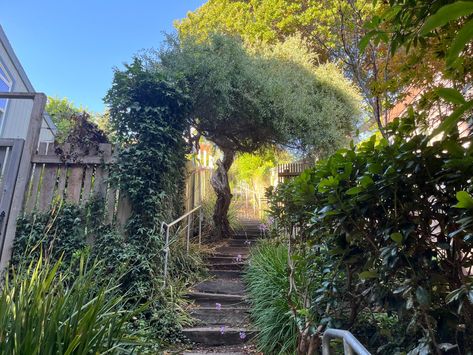 An intricate network of "hidden" stairs and pathways lies in the hills of Berkeley. It's a challenging but rewarding hike. (John Metcalfe/Bay Area News Group) Hidden Stairs, Berkeley Hills, How To Get Money Fast, Evacuation Plan, Blair Witch Project, Redwood Tree, Wooden Bridge, East Bay, Us Map