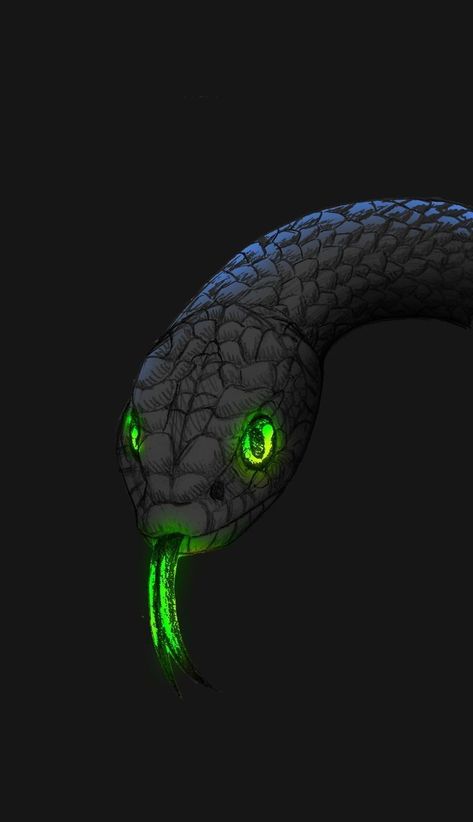 Reptile Wallpaper, Anime Snake, King Cobra Snake, Snake Images, Snake Photos, Viper Snake, Giant Snake, Snake Drawing, Snake Wallpaper