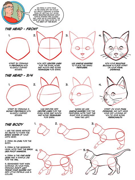 How To Draw A Cats Face Step By Step, Cat Proportions Drawing, Cat Drawing Guide, Cat Loaf Drawing Reference, Cats How To Draw, Cat Face Drawing Tutorial, Cat Face Anatomy, How To Draw Cat Face, Cat Proportions