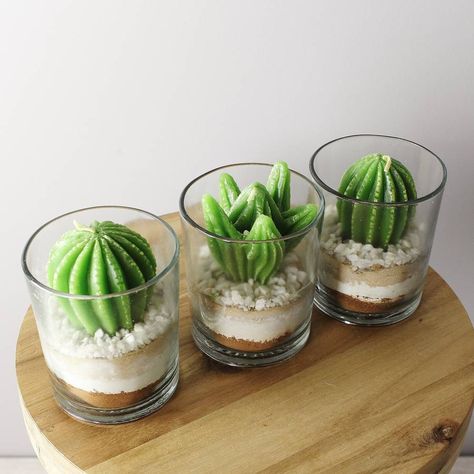 Plant Candles, Original Candles, Succulent Candles, Fun Candles, Plant Candle, Cactus Candle, Succulent Candle, Lilin Aroma, Cactus Candles