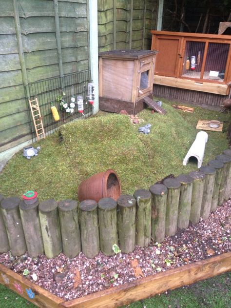 Guinea pig enclosure home hutch area More Pig Cage Ideas Outdoor, Outdoor Guinea Pig Enclosure, Guinea Pig Cage Ideas Outdoor, Guinea Pig Enclosure, Pig Enclosure, Guinea Pig Cage Ideas, Guinea Pig Run, Pig Habitat, Diy Guinea Pig Cage