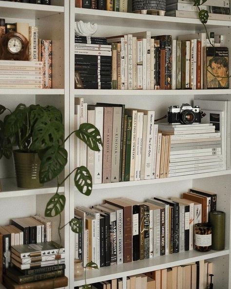 All I Need is a Little Cabin in the Woods (25 Photos) - Suburban Men Bookshelf Inspiration, Little Cabin, Room Inspiration Bedroom, Home Library, Book Shelf, Room Aesthetic, My New Room, Dream Room, New Room