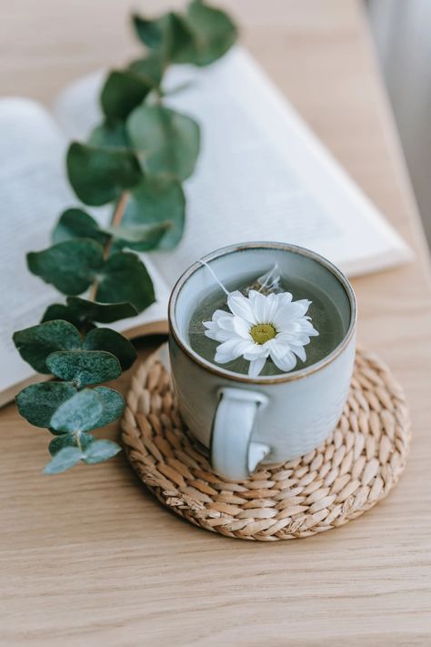 Green tea in cup with blooming Chrysanthemum on straw mat · Free Stock Photo Eucalyptus Tea, Winter Fragrance, Candle Fragrance Oil, Eucalyptus Green, Candle Dye, Coffee Images, Vanilla Essential Oil, Citrus Fragrance, Body Powder