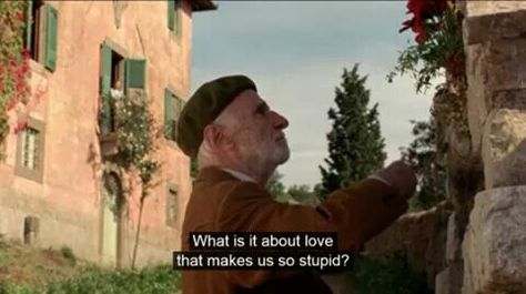 Under The Tuscan Sun (2003) Under The Tuscan Sun Quote, Under The Tuscan Sun Aesthetic, Under Tuscan Sun, Cinema Quotes, Sun Quotes, Under The Tuscan Sun, Movie Lines, Film Quotes, New Energy